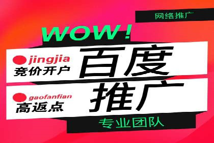 SEM竞价推广案例：打造行业领先的广告投放策略